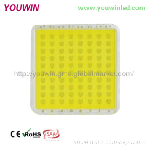 IP65 80W LED Industrial And Mining Lamp CE RoHS